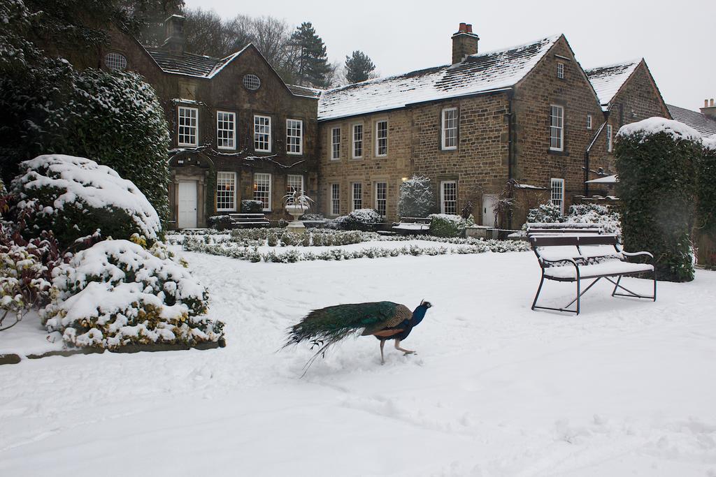 Whitley Hall Hotel Sheffield Zewnętrze zdjęcie