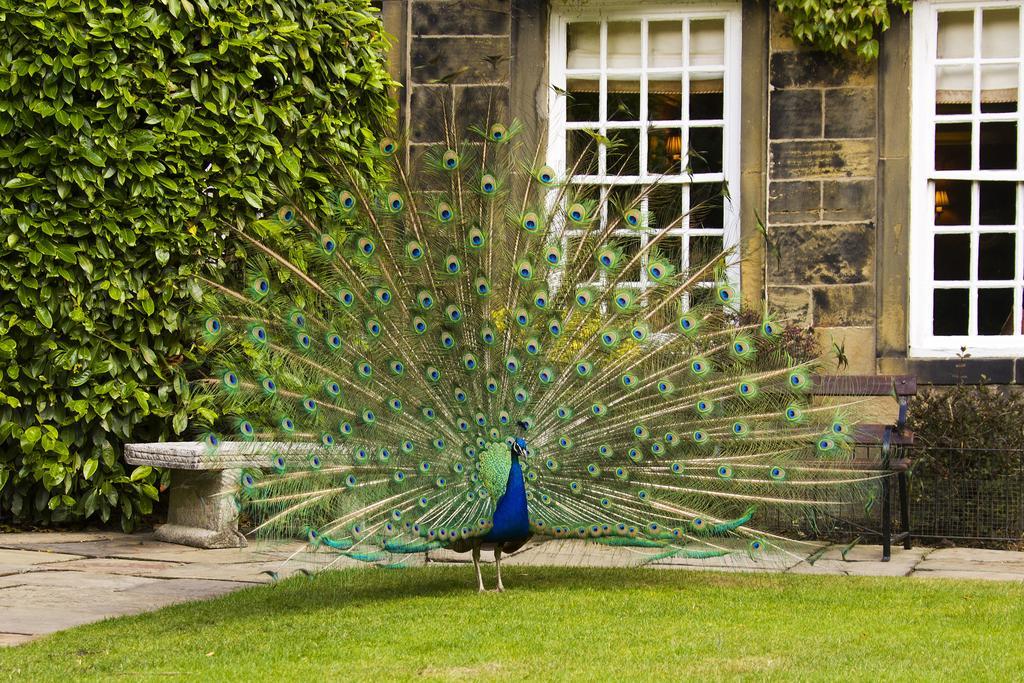 Whitley Hall Hotel Sheffield Zewnętrze zdjęcie